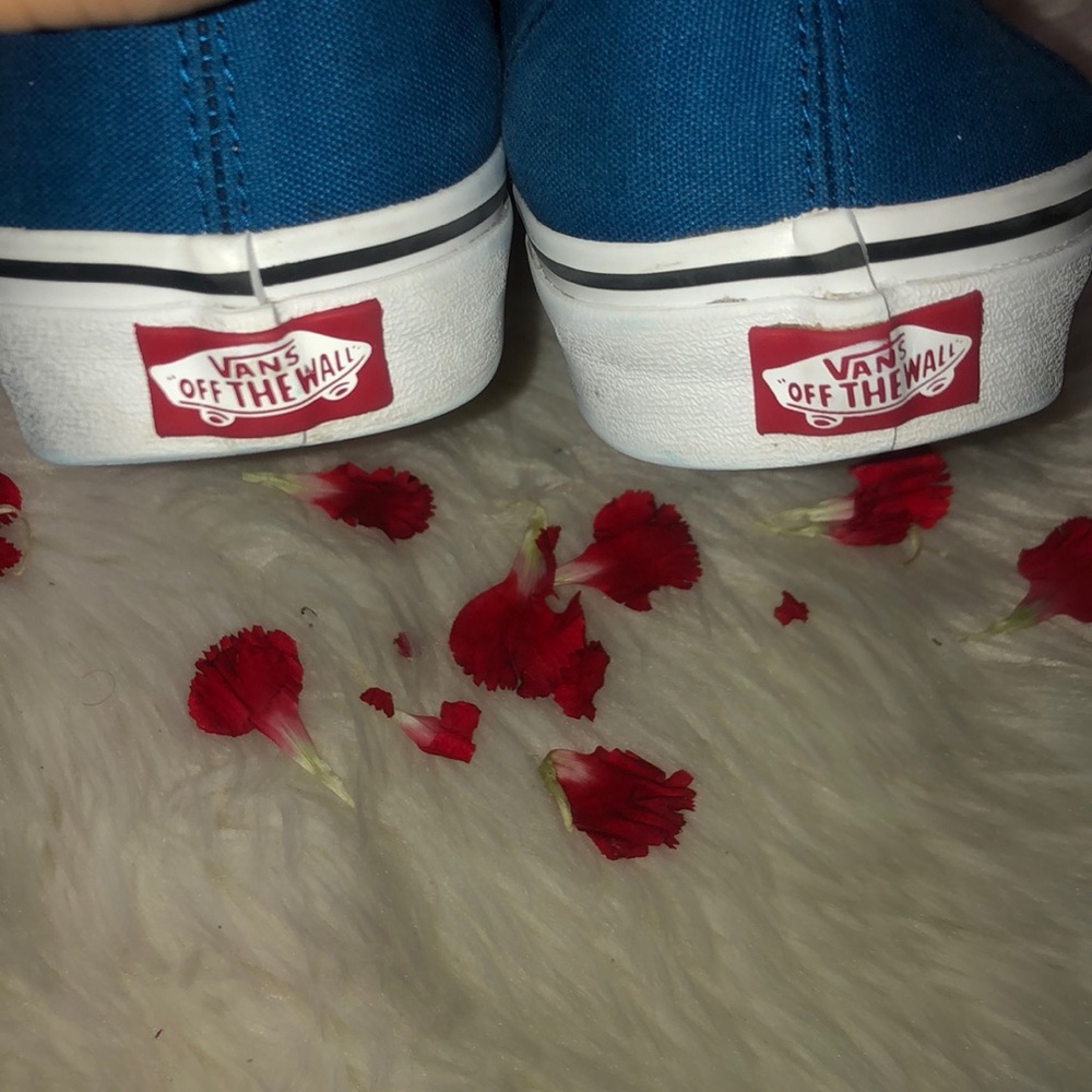 Men VANS - Picture 3 of 3